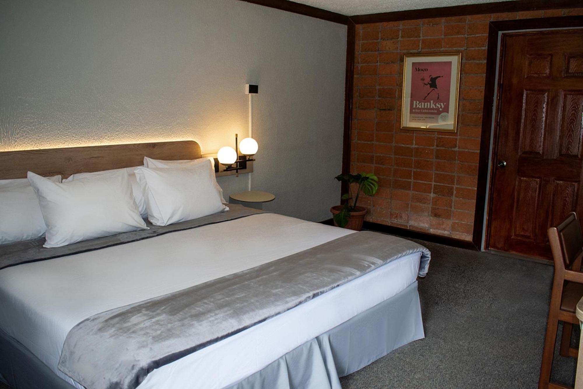 Hotel Soy Local San Jose Esterno foto